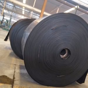 Cinta transportadora de tela