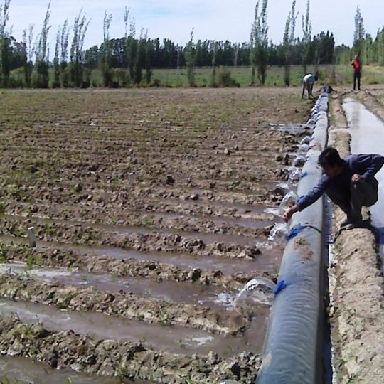 Mangas de Riego - Imagen 4