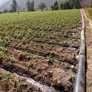 Tubería polietileno agrícola alta resistencia
