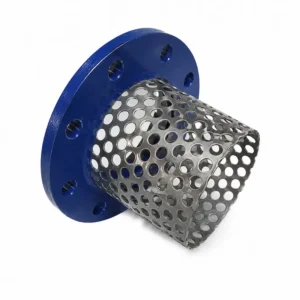 Canastilla inox de acero inoxidable para succión y filtración industrial, accesorio resistente a la corrosión para protección de bombas y sistemas de conducción de fluidos.