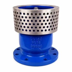 Válvula check canastilla bridada para sistemas de bombeo y succión de agua, diseñada para evitar el retorno de fluidos y retener partículas sólidas mediante filtro integrado.
