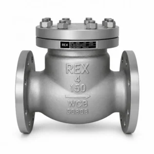 Válvula check swing bridada para evitar el retorno de fluidos en sistemas de tuberías, ideal para aplicaciones de agua, petróleo, gas, bombeo e instalaciones industriales.